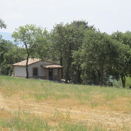 Holiday Home Il Podere Del Lago By Interhome Bolsena Zewnętrze zdjęcie