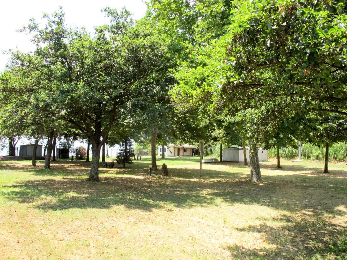 Holiday Home Il Podere Del Lago By Interhome Bolsena Zewnętrze zdjęcie