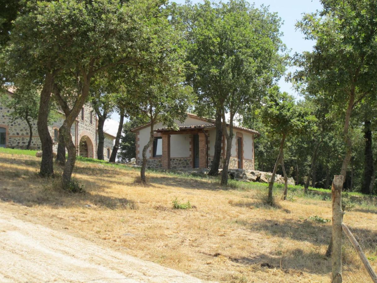 Holiday Home Il Podere Del Lago By Interhome Bolsena Zewnętrze zdjęcie